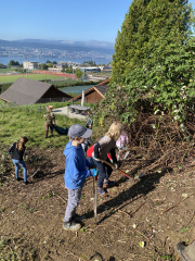 Draussen zu Hause
