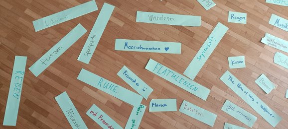 Projektwoche Gesundheit: Tag 2
