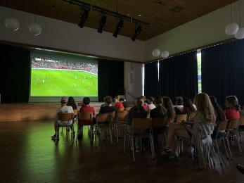 "Public Viewing" Schweiz - Algerien