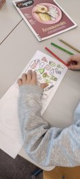 Projektwoche Gesundheit: Tag 2