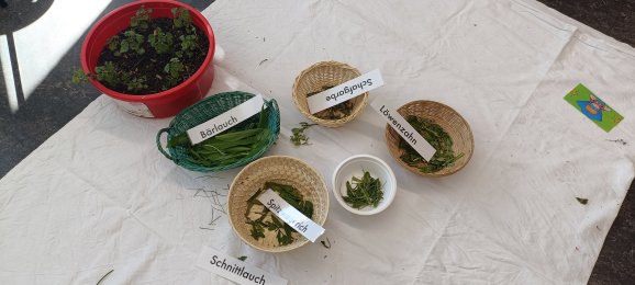 Projektwoche Gesundheit: Tag 1