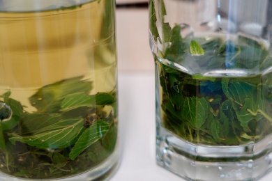 Projektwoche Gesundheit: Tag 1