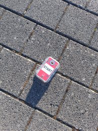 Die 3. Klassen im OL-Fieber