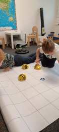 Beebots