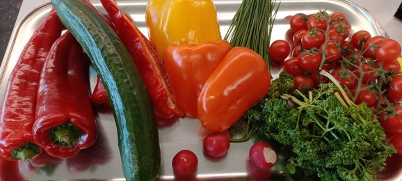 Projektwoche Gesundheit: Tag 2