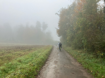Einblicke in den Unterricht