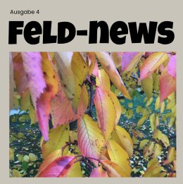 Feld-News: Die Schülerzeitung für Aktuelles im Feld!