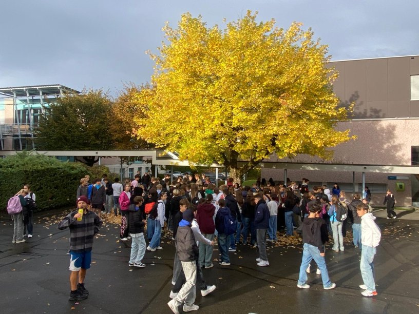 Punchaktion Schülerparlament