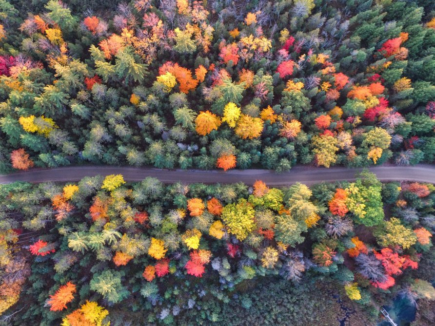 Der Herbst hat Farbe im Gepäck