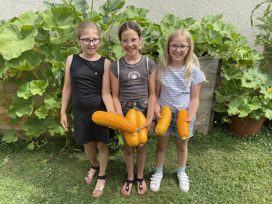 4. Klasse erntet