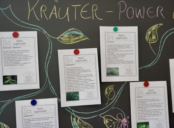 Projektwoche Gesundheit: Tag 1